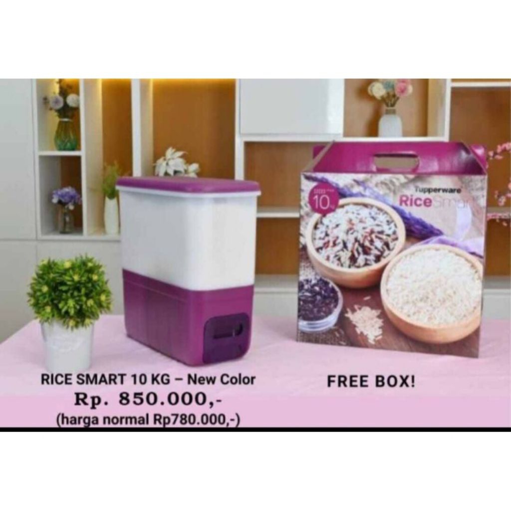 Jual Tupperware rice smart ungu with box (free packing bubble) | Shopee ...