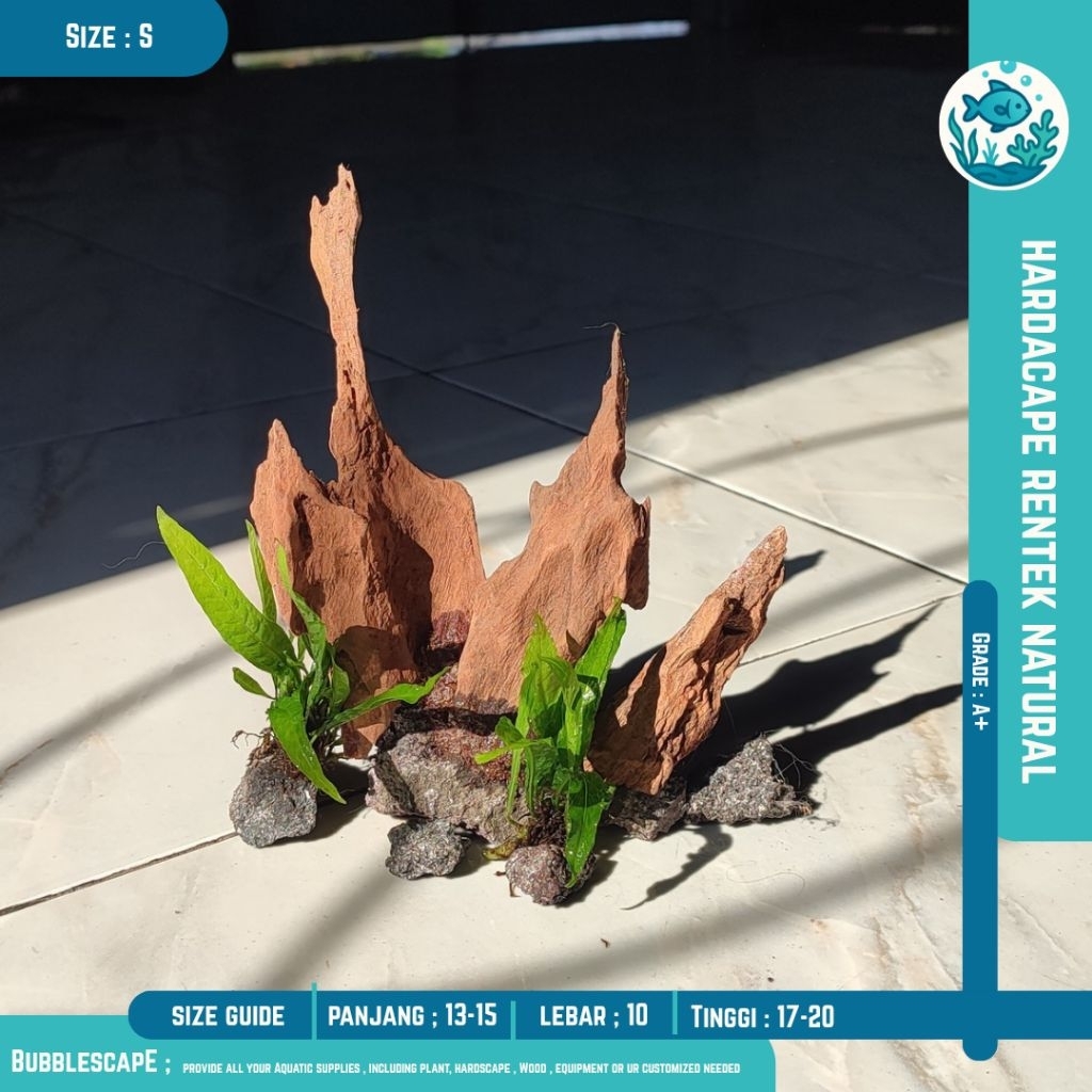 Jual HARDSCAPE NATURAL RENTEK TENGGELAM SIZE Mini (Soliter/Nano Tank ...