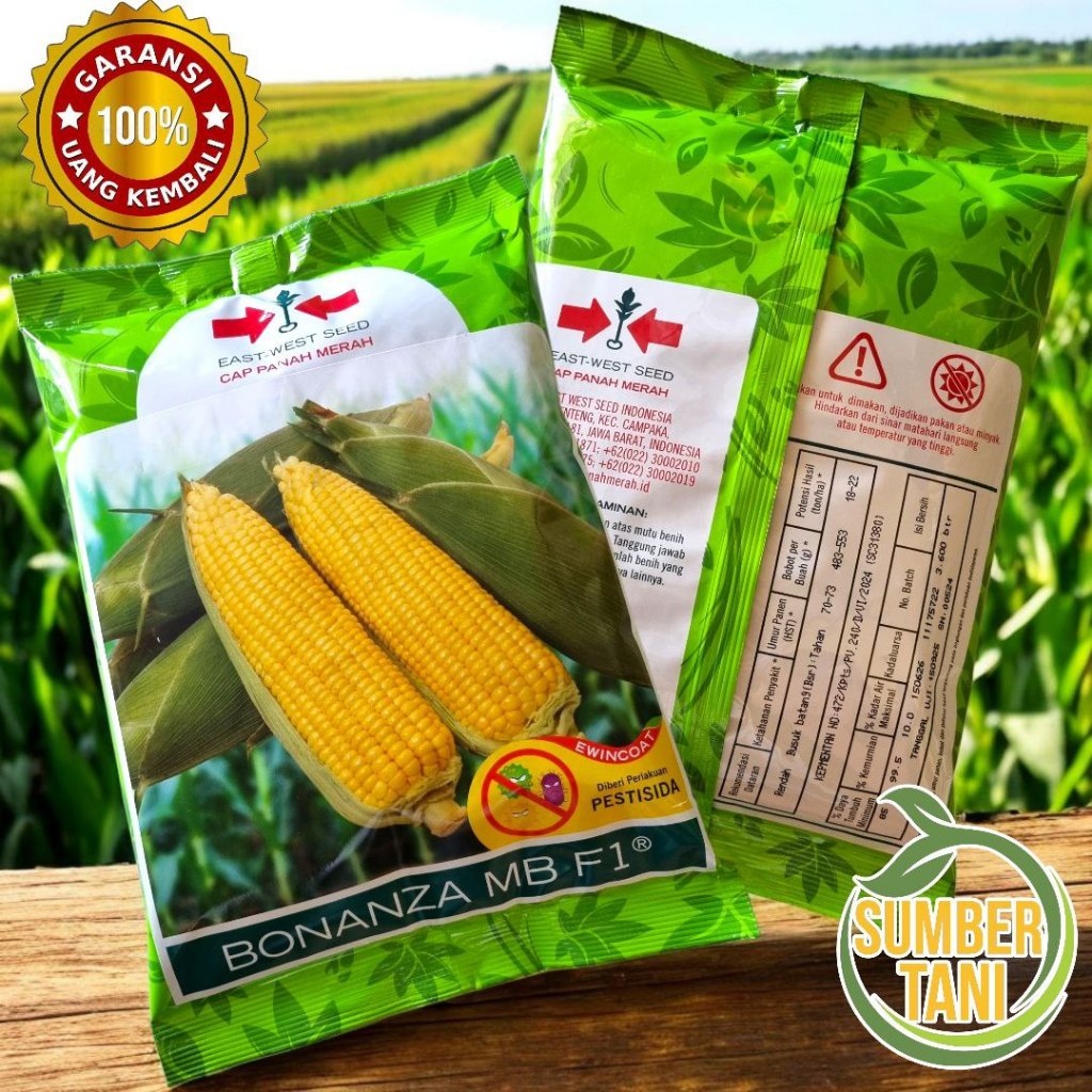 Jual Bonanza MB F1 (3.600 Butir) Benih Jagung Manis Terbaru Pengganti ...