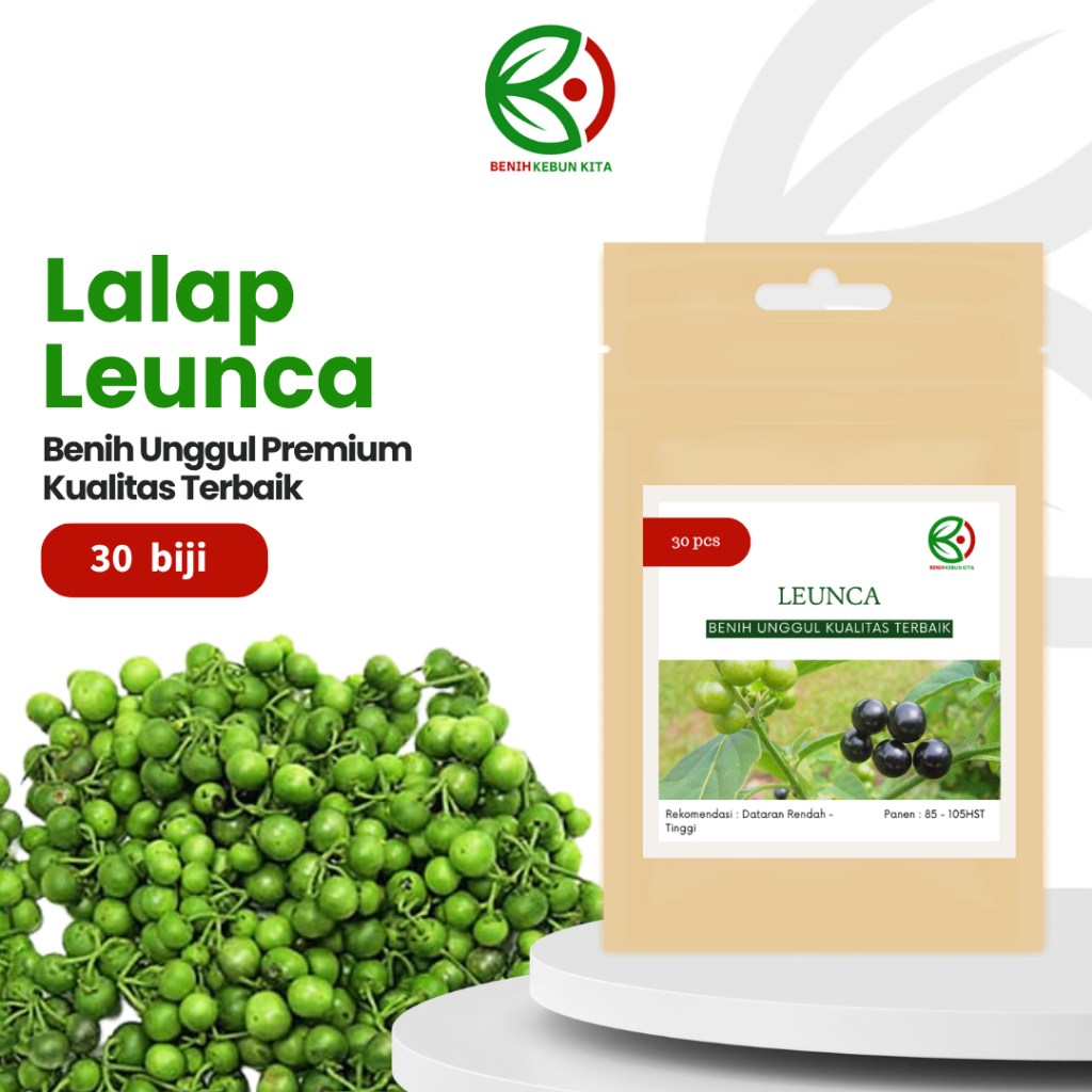 Biji Benih Bibit Tanaman Sayuran Leunca Ranti Unggul Berkualitas