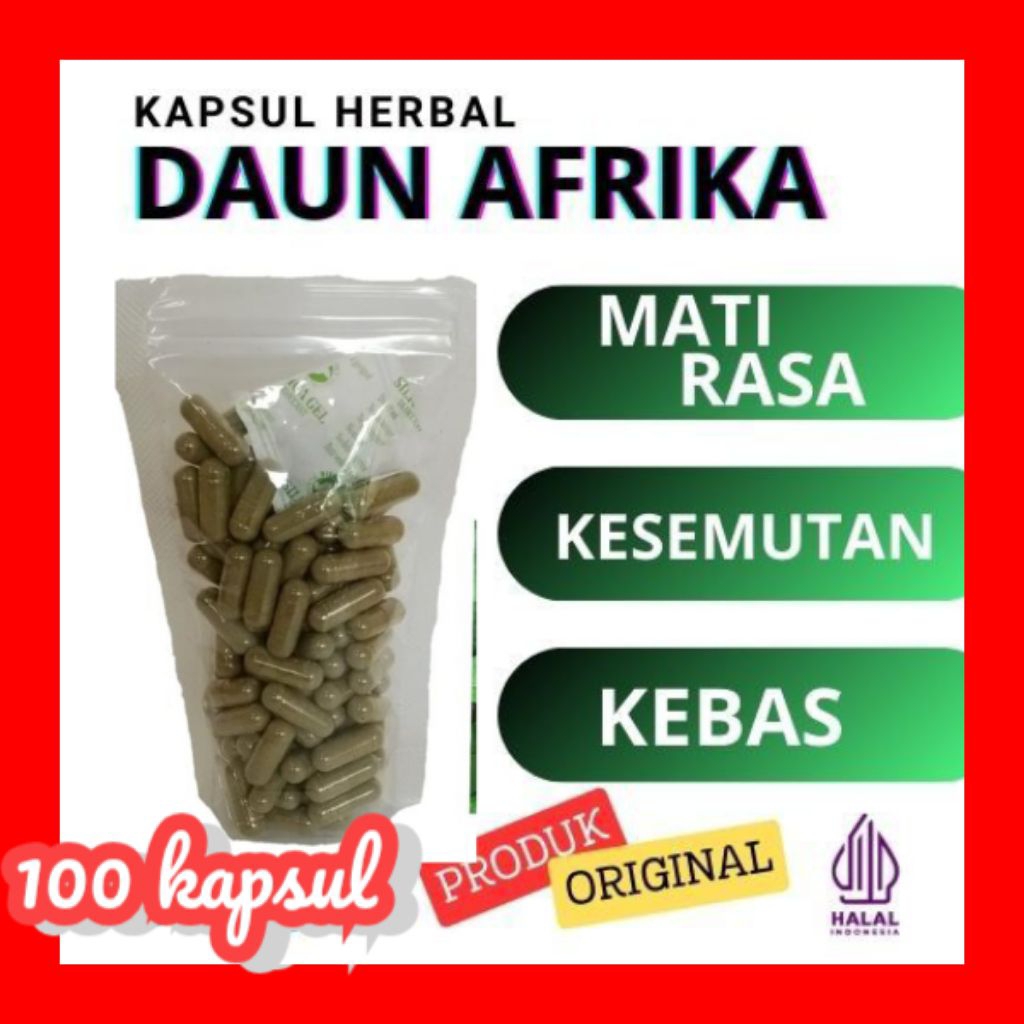 kapsul daun afrika menurunkan kolesterol