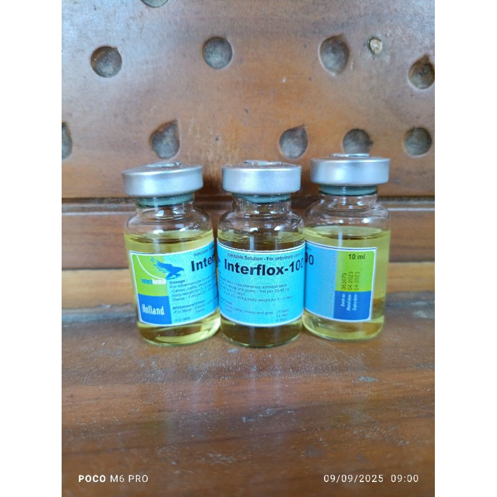 Jual Interflox repack 10 ml obat antibiotik pernafasan dan pencernaan ...