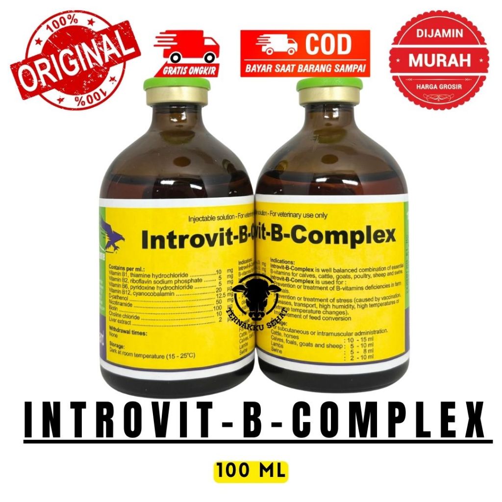 Jual INTROVIT B COMPLEX 100 ml Original (KONSENTRASI TINGGI DAN BIOTIN ...