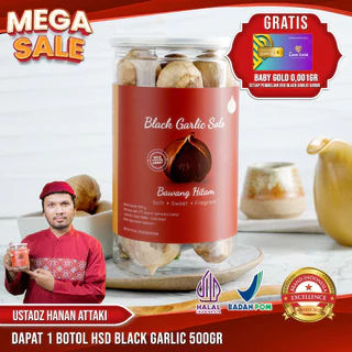 HSD Black Garlic Solo ( Bawang Hitam Tunggal) 500 Gr