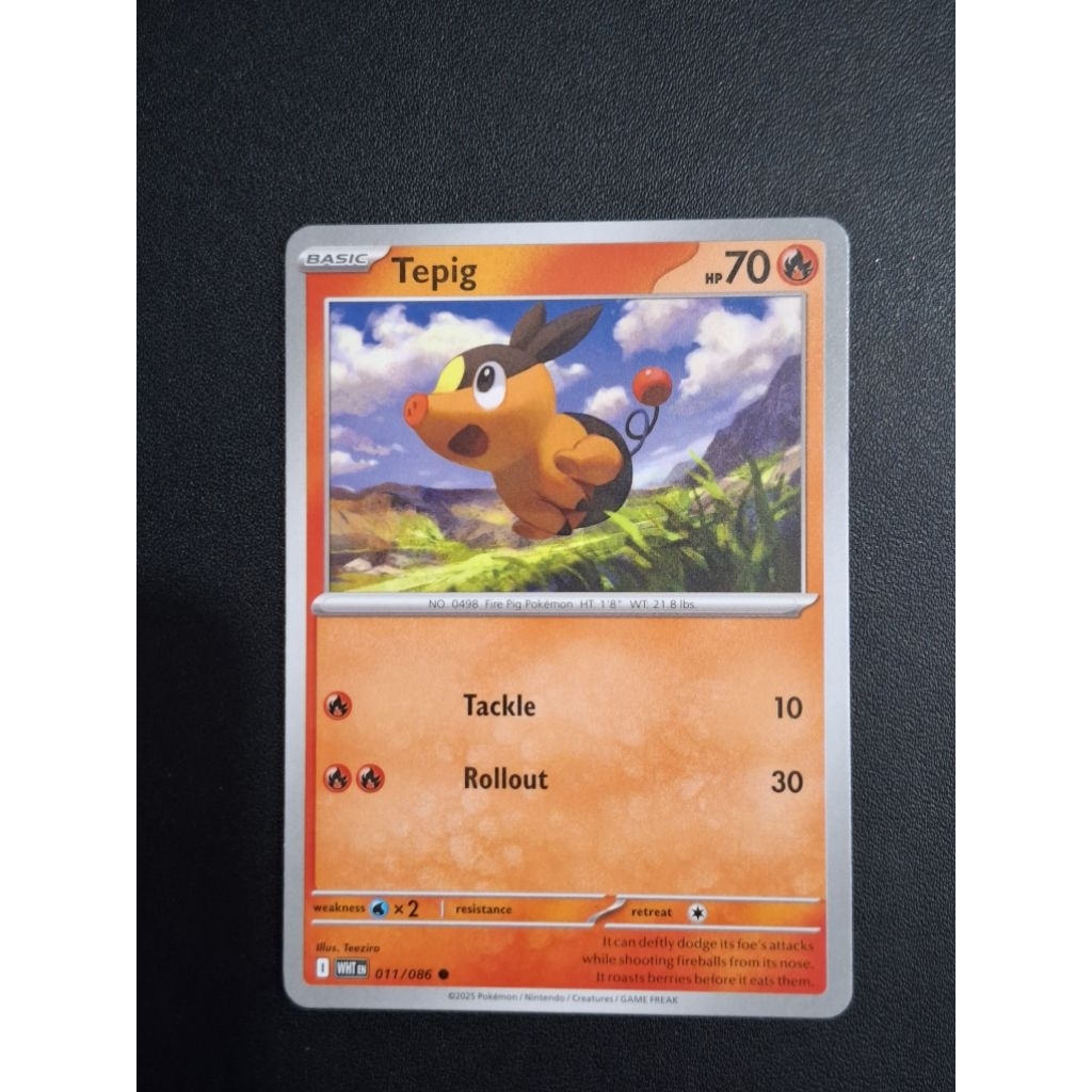 Jual kartu pokemon original common tepig wht 011/086 | Shopee Indonesia