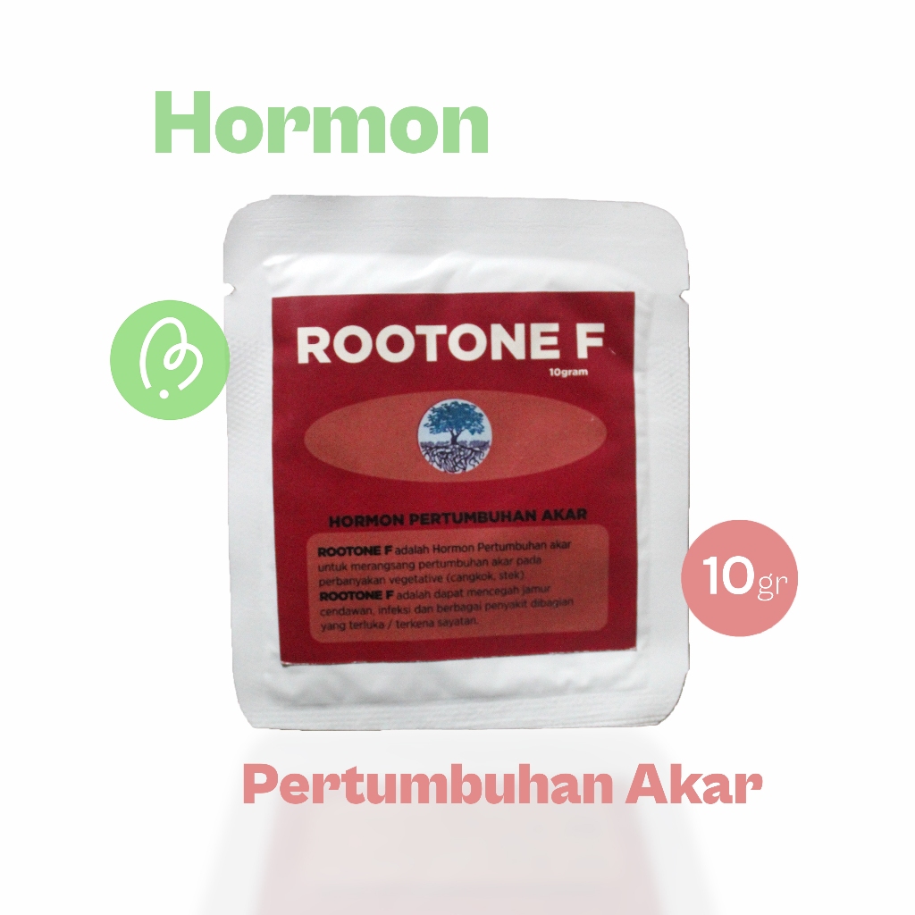 Produk Mediapoint Store | Shopee Indonesia