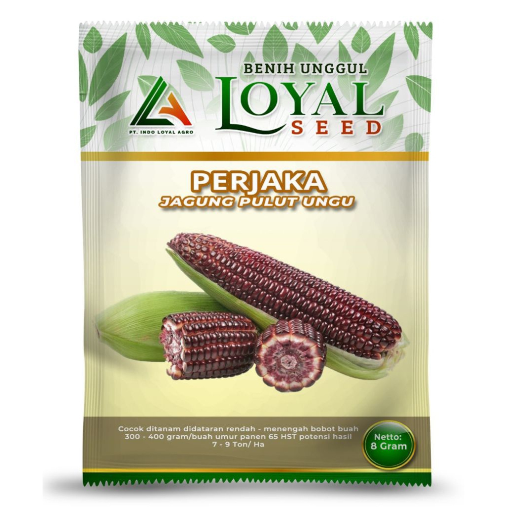 Jual Rumah Perjaka Terlengkap & Harga Terbaru Agustus 2026 | Shopee ...