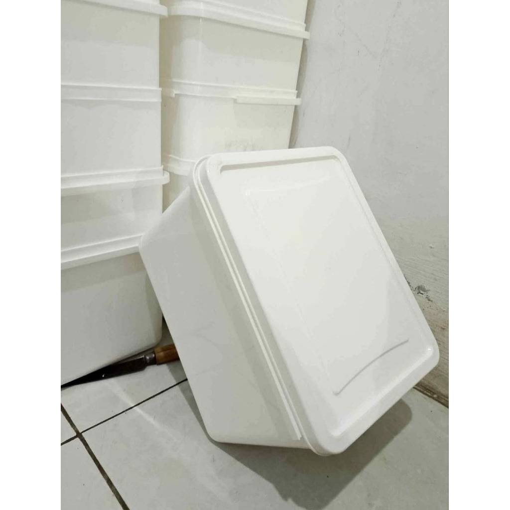 Jual Box es krim 8L | Shopee Indonesia