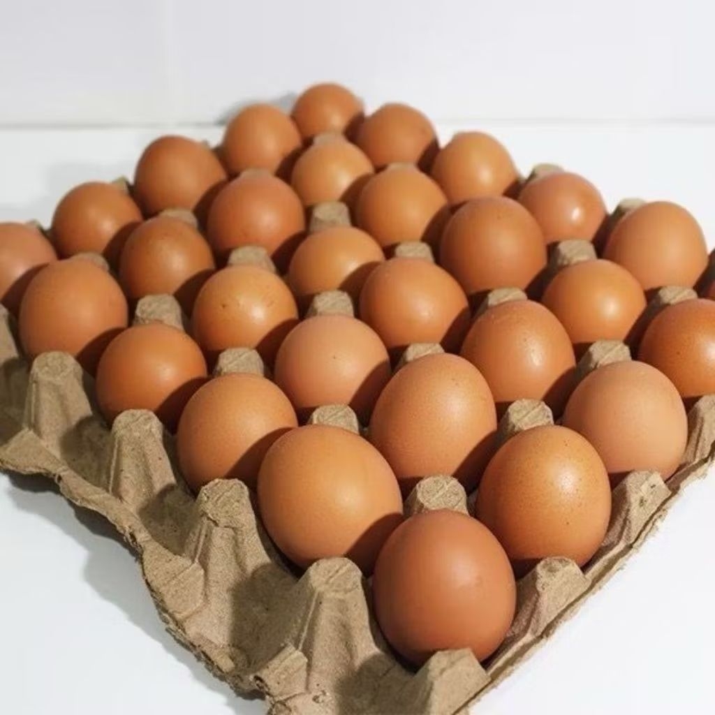 Jual Telur Ayam Ras Per Rak Isi 30 Butir - Pasar Makassar | Shopee ...