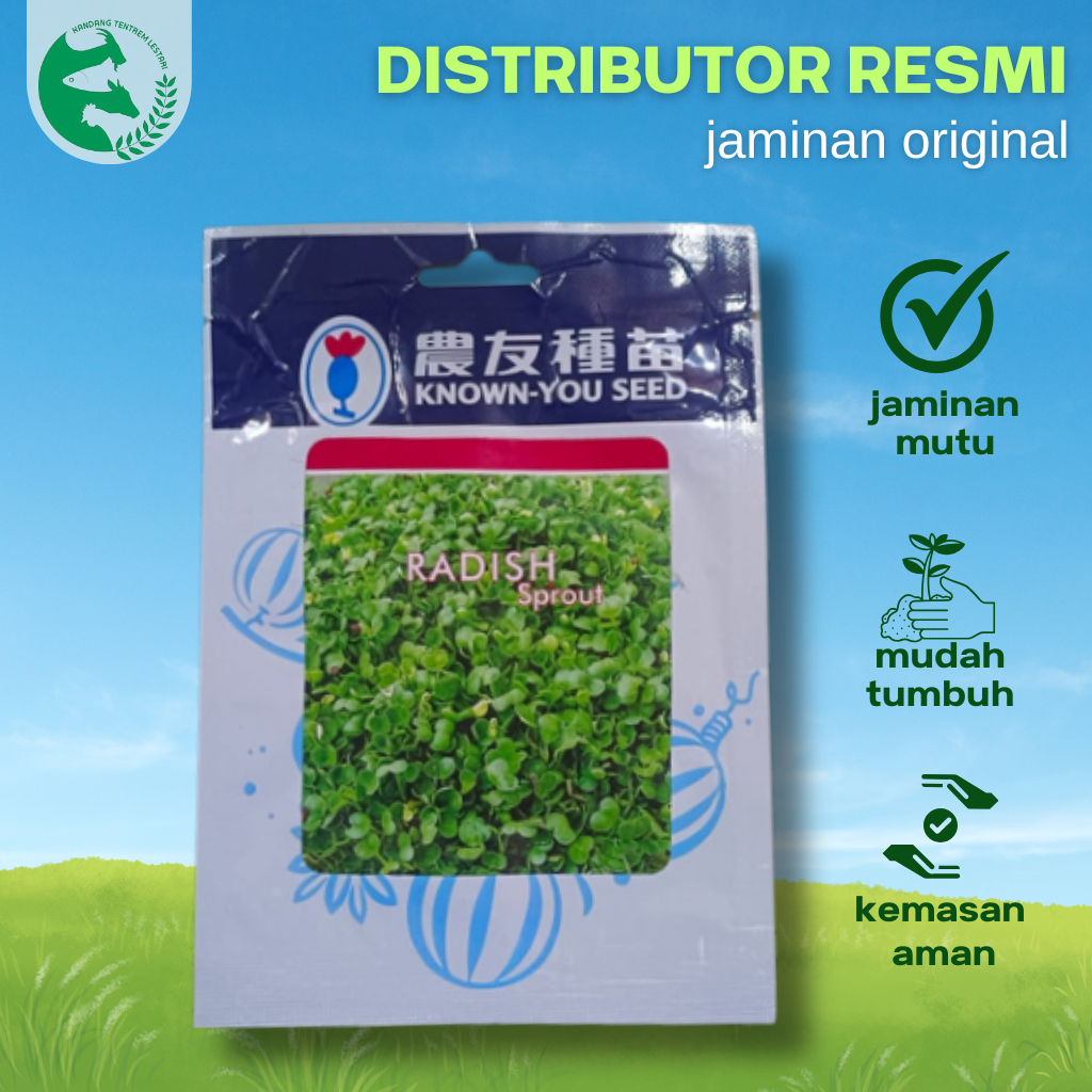 Benih Radish Sprout 10 gram Known You Seed Unggul Hidroponik Atau Tanah dan Pot
