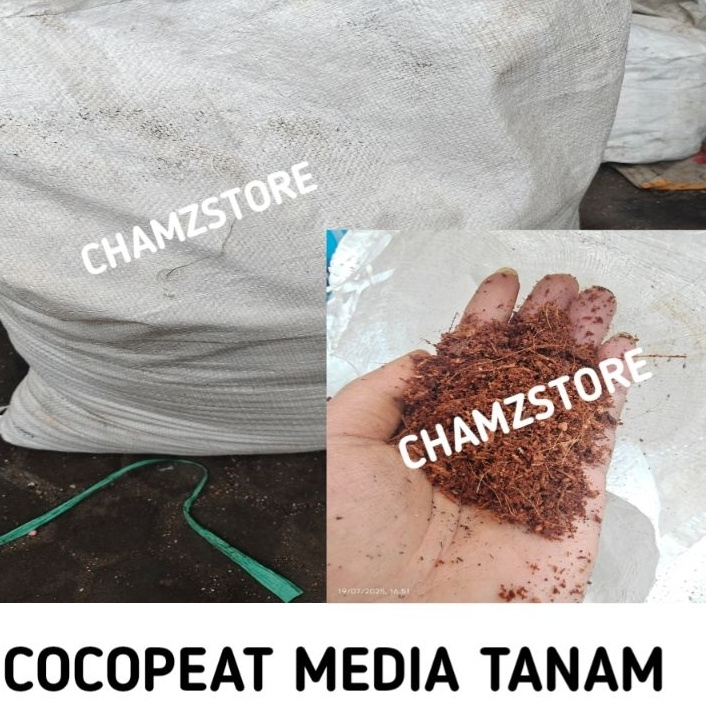 COCOPEAT MEDIA TANAM KARUNGAN 13L / COCOPEAT MEDIA TANAM