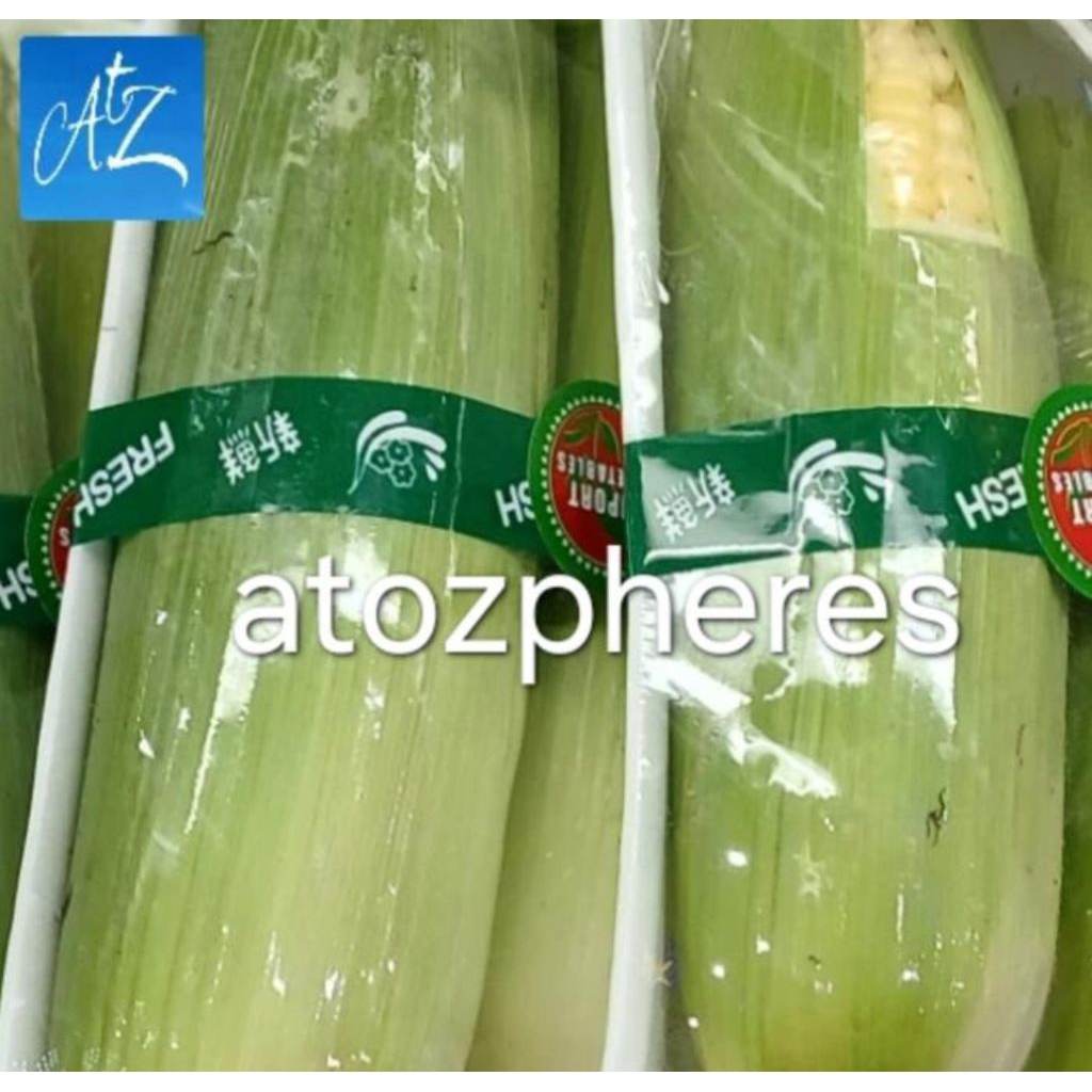 Hokkaido Tomorokoshi: Jagung Manis Jepang Segar yang Lezat Mentah
