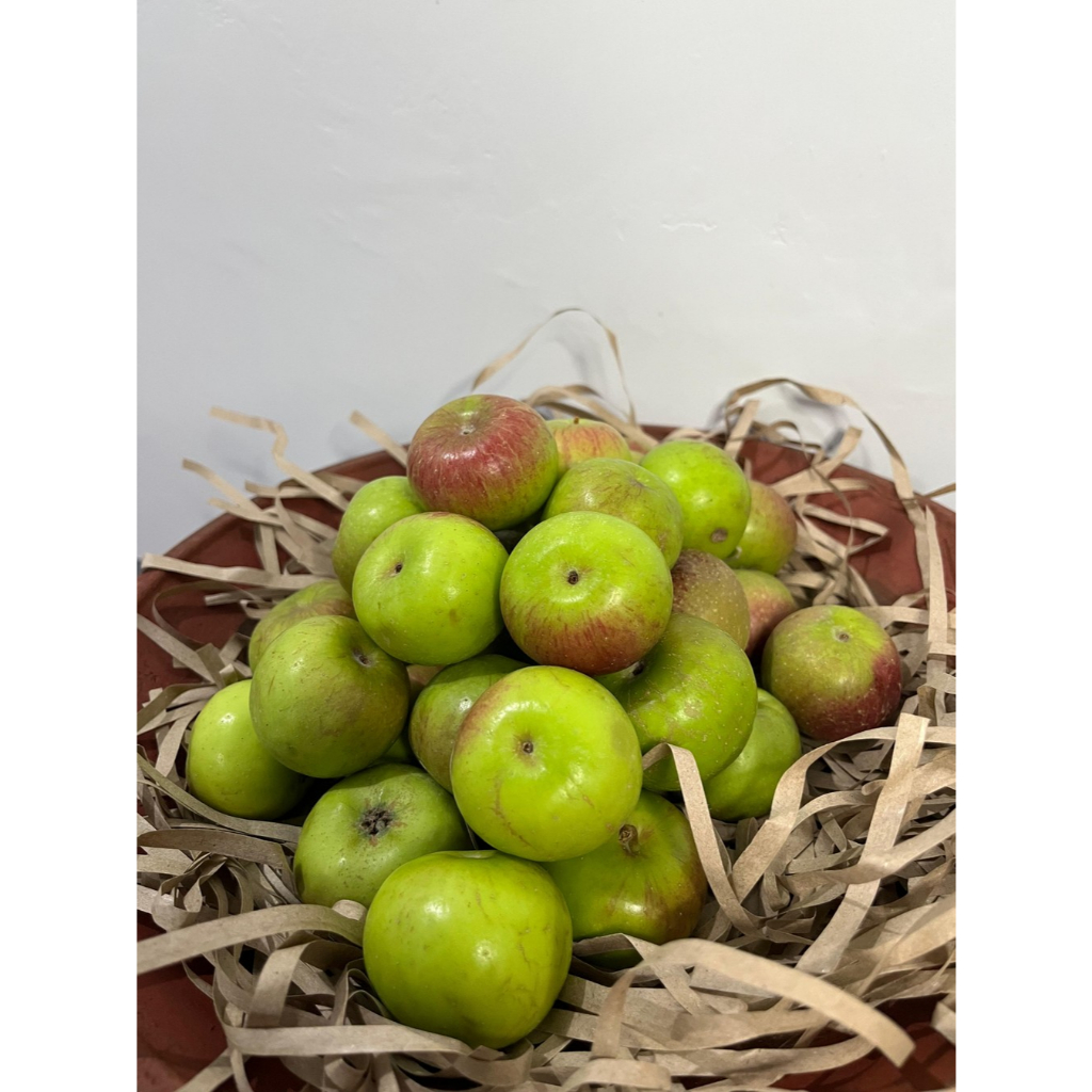 Jual Apel Rome Beauty Mini 1 Kg Isi ± 25 - 30 buah apel Batu Malang ...