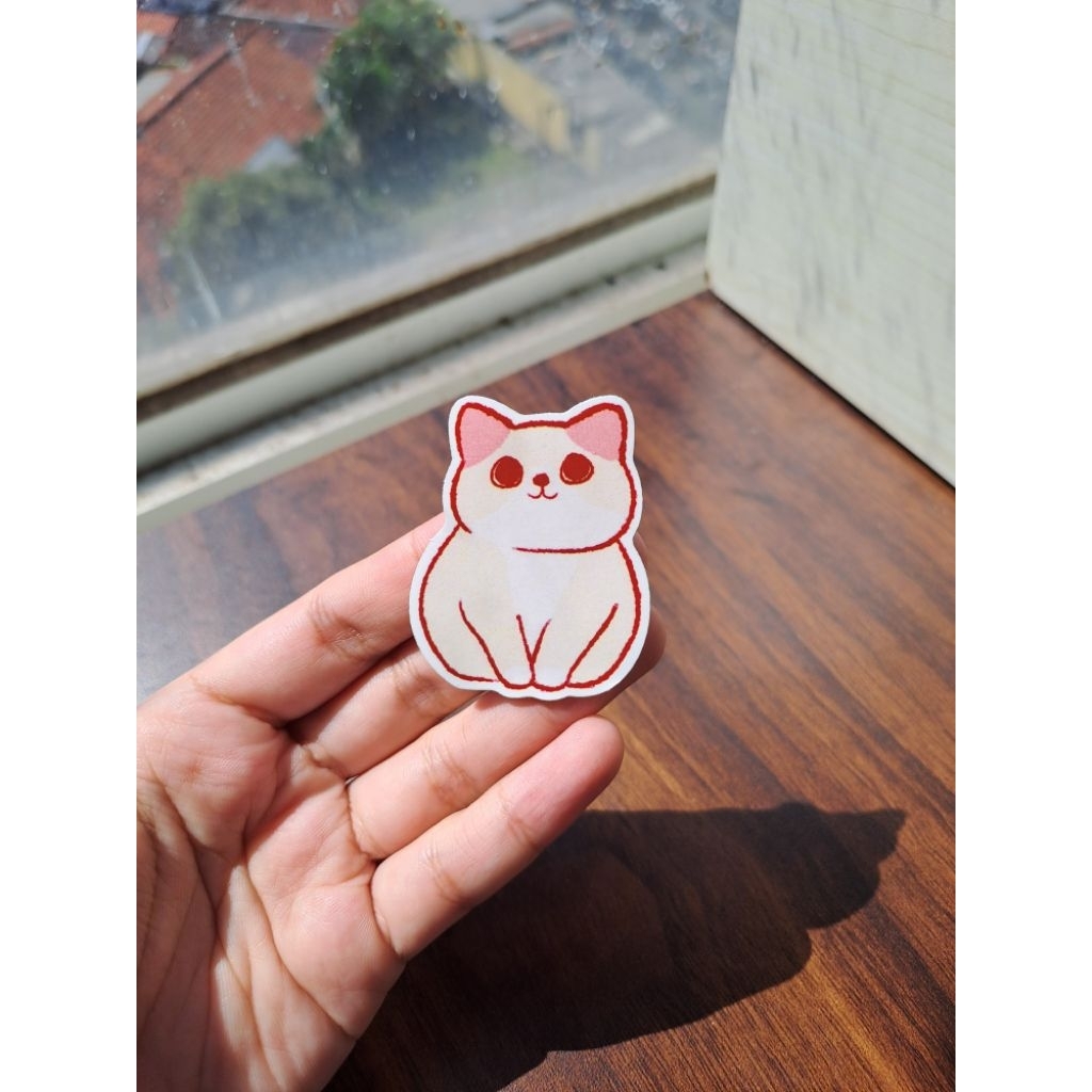 Jual Sticker Kucing Lucu (Belo) | Shopee Indonesia