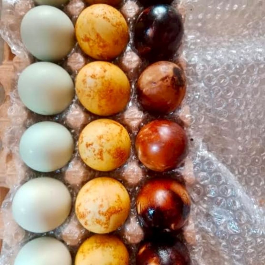 Jual Telur asin omega asli brebes ukuran besar campur 3 rasa original ...