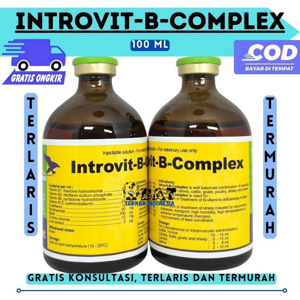 Jual INTROVIT B COMPLEX 100 ml Original (KONSENTRASI TINGGI DAN BIOTIN ...