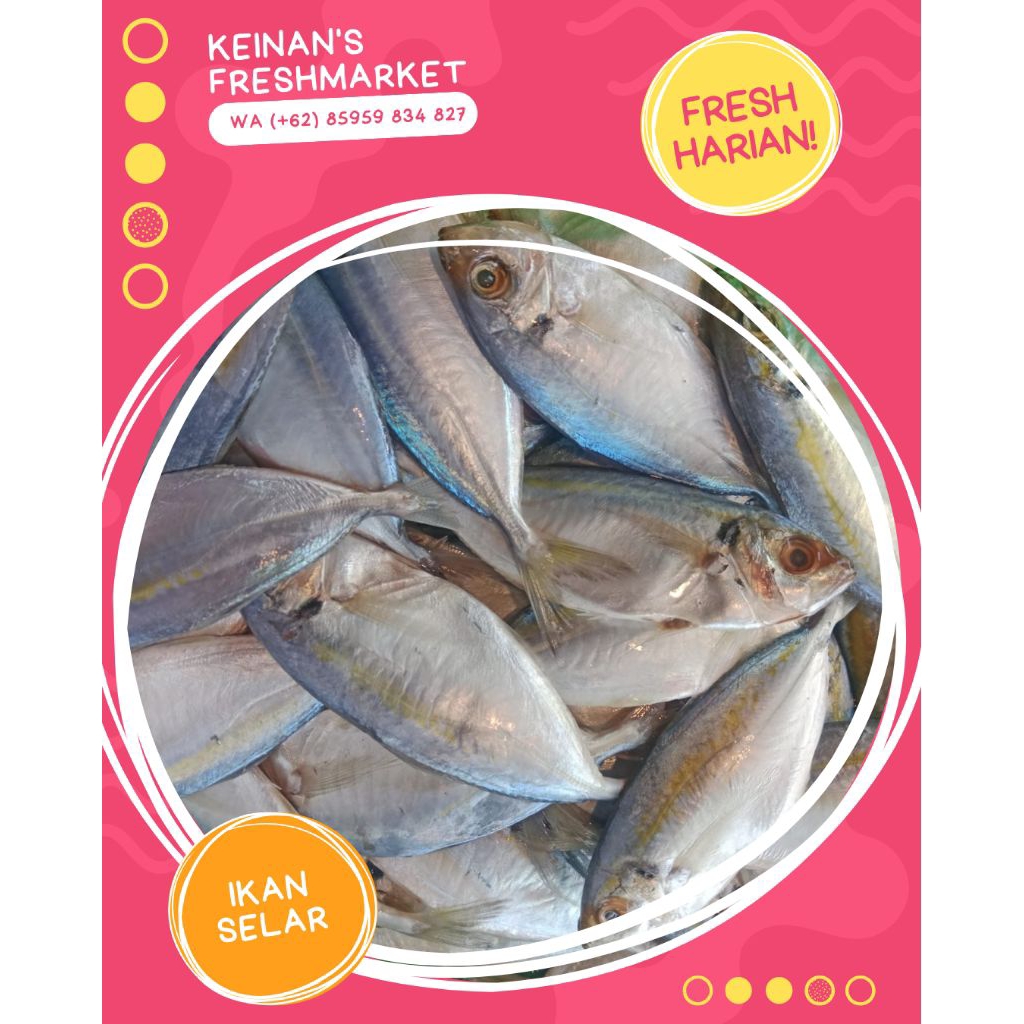 Jual Ikan Selar Fresh 1kg | Shopee Indonesia