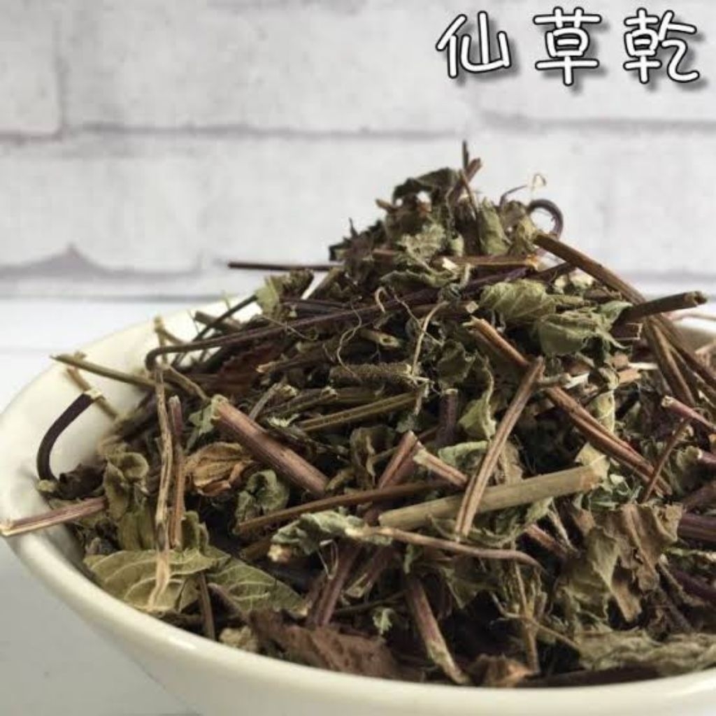 Jual 100gr Xian Ren Cao Premium Xian Cao Cincau / Mesona / Chinese ...