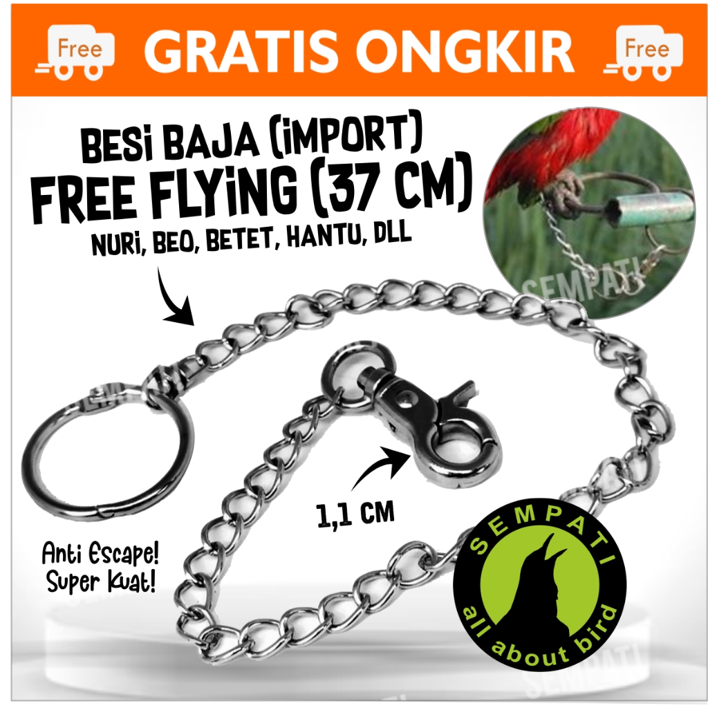 Jual Burung Nuri Terlengkap & Harga Terbaru Juli 2026 | Shopee Indonesia