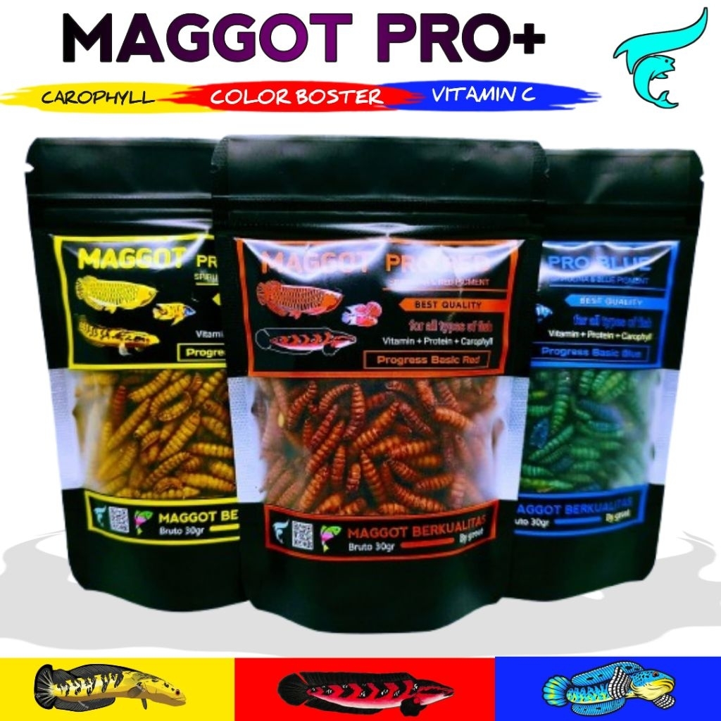 Jual Magot Terlengkap & Harga Terbaru Juli 2026 | Shopee Indonesia