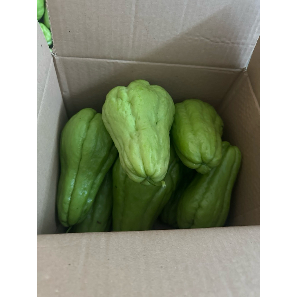 Jual labu siam fresh 1kg | Shopee Indonesia