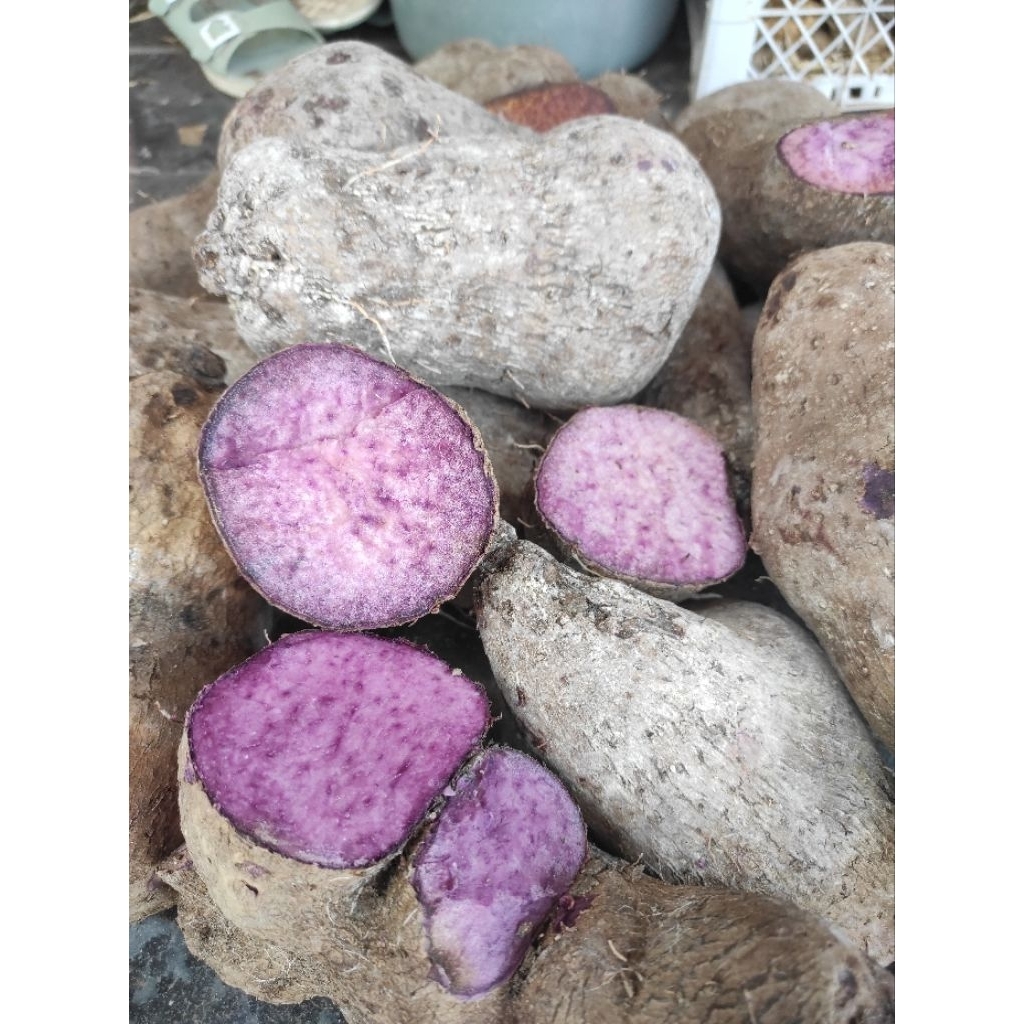 Jual umbi Cilembu,madu fress kemasan 1kg ,Uwi ungu,gembili ketan, dan ...