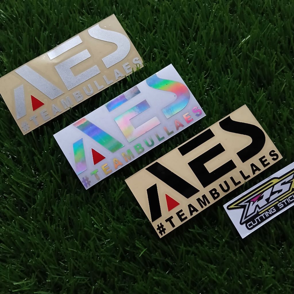 Jual Sticker Cutting AES Team Bullaes | Shopee Indonesia