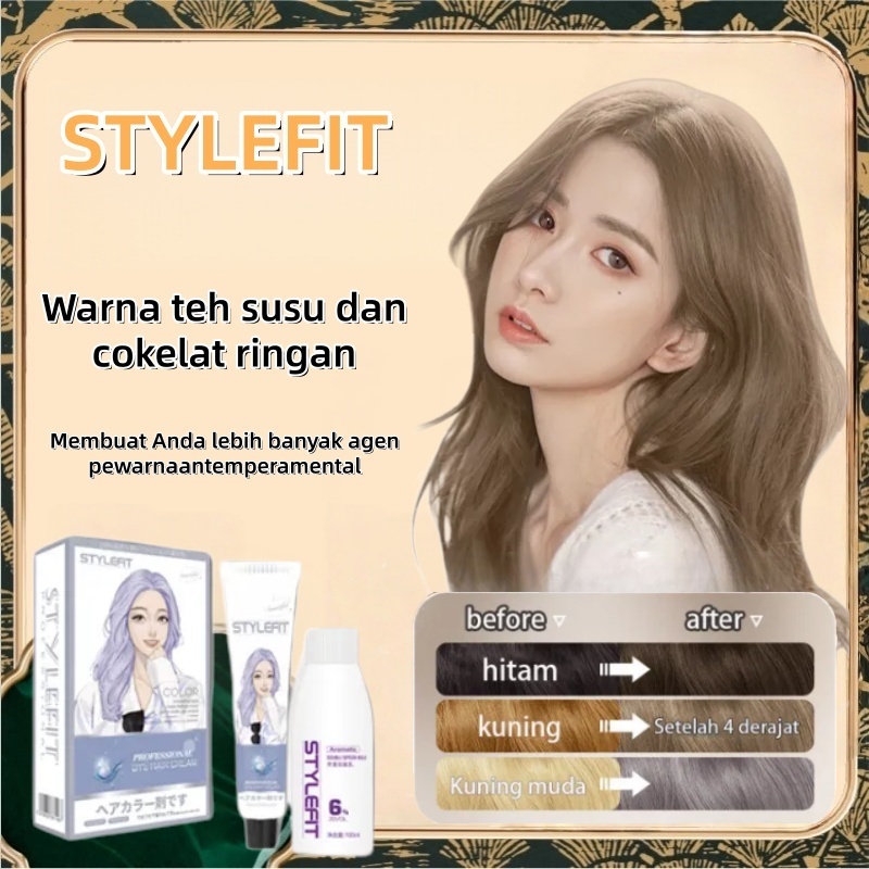 Jual STYLE FIT cat rambut ash brown*200ml pewarna rambut pria dan ...