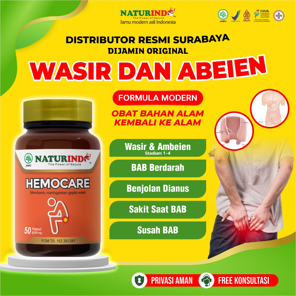 Obat Herbal Wasir Ambeien Ambaien Ambeyen Ambeian Luar Dalam Berdarah Herbal Paling Ampuh Hemocare
