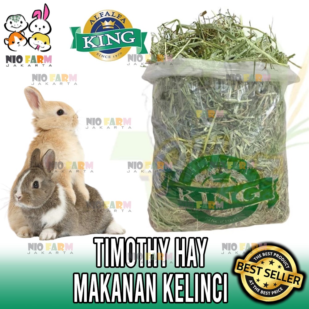 Jual Timothy Hay Alfalfa King 1 kg Rumput Kering Premium Serat Tinggi ...