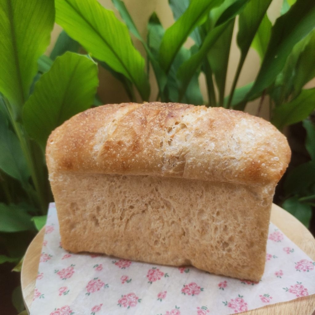 Jual Sourdough Sandwich Loaf | Shopee Indonesia