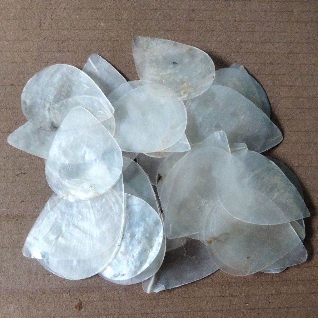 Jual Cangkang kerang simping putih/kapis bentuk tetes air | Shopee ...