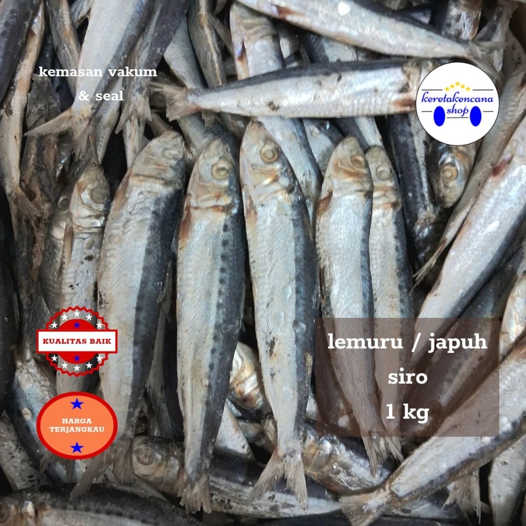 Jual ikan asin lemuru / japuh siro berat 1 kg / 1000 gram | Shopee ...