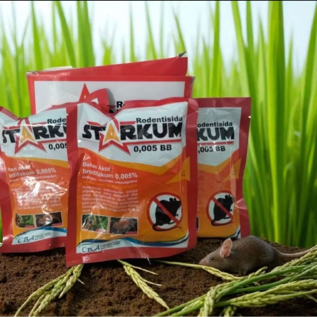 Jual STARKUM 0,005 BB Kemasan 100gr Racun Tikus Gula-Gula Tikus Asli ...