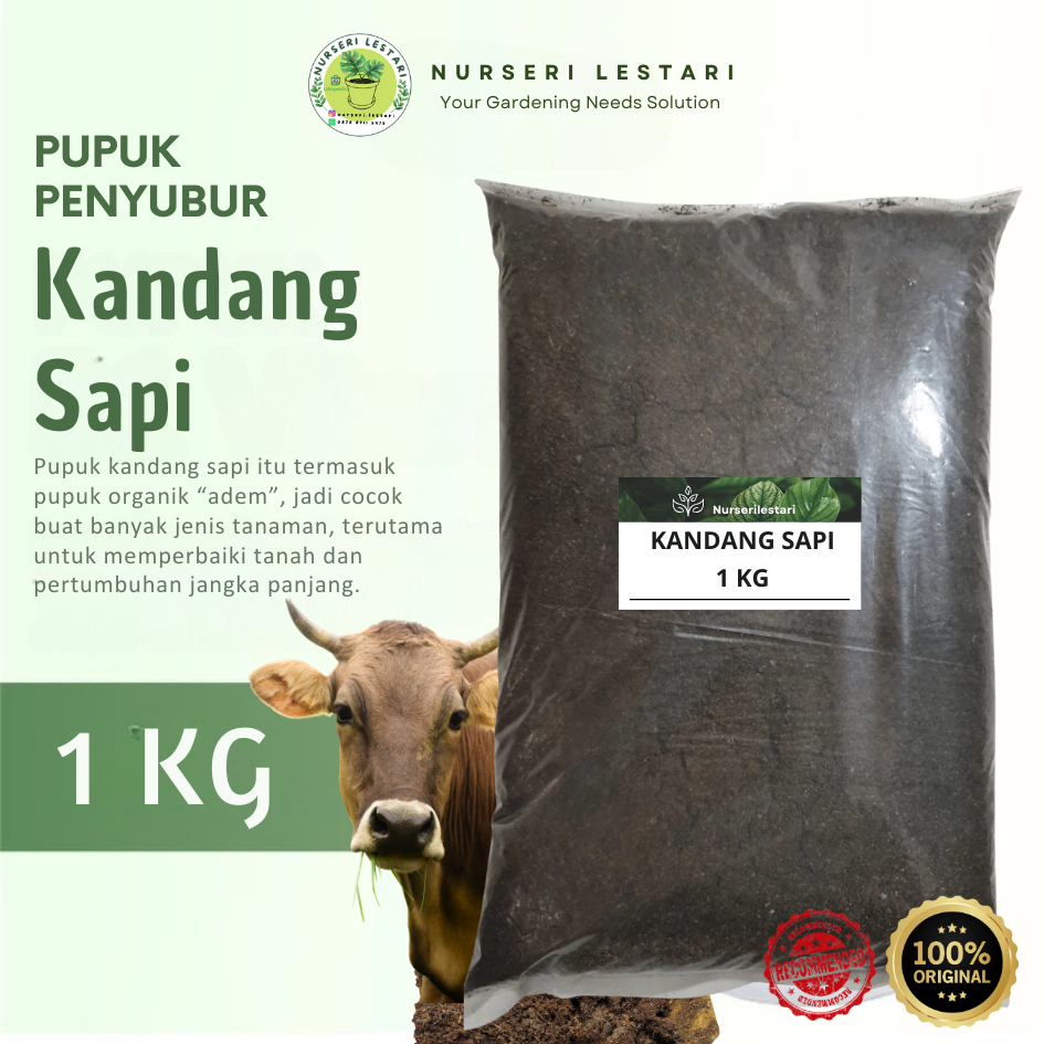 Jual Pupuk Kandang Sapi Organik 1KG Untuk Campuran Media Tanam | Shopee ...