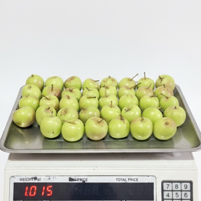 Jual Apel Manalagi Mini 1kg Isi 38-45 Buah, Ukuran Kecil Sekali, (hanya ...