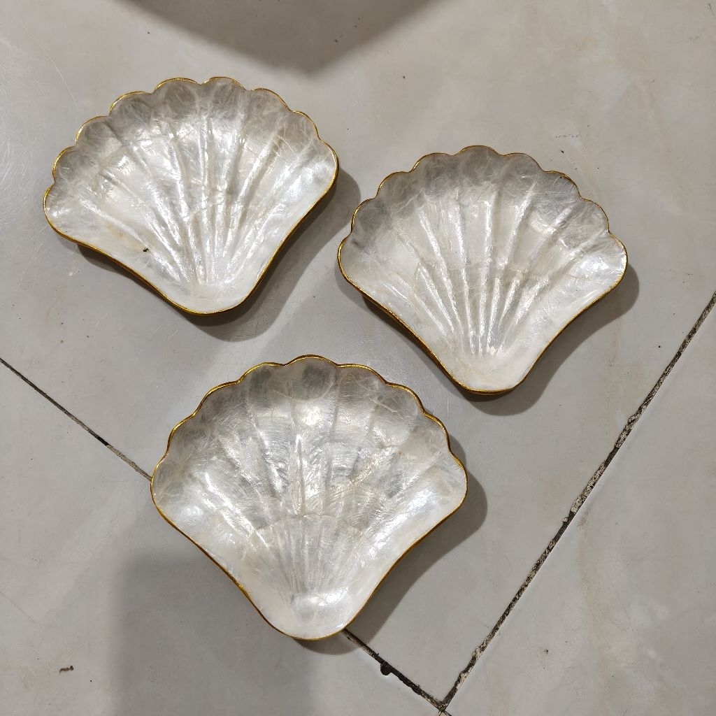 Jual piring kerang mini putih shell plate model kipas | Shopee Indonesia
