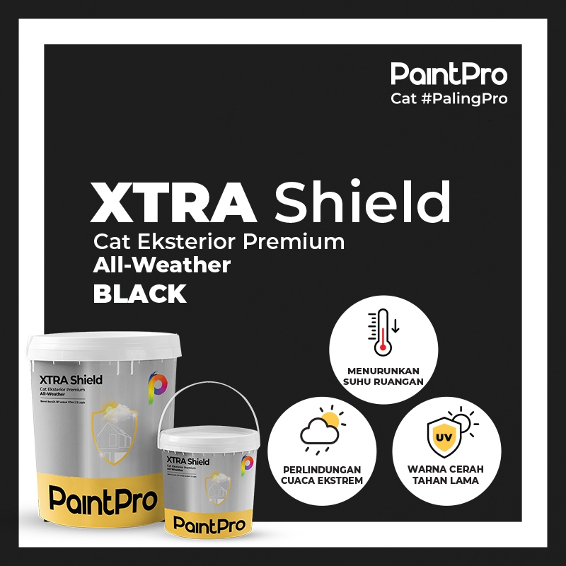 Jual [CREATOR EXCLUSIVE] PaintPro XTRA Shield 1L & 2,5L PaintPro – Cat ...