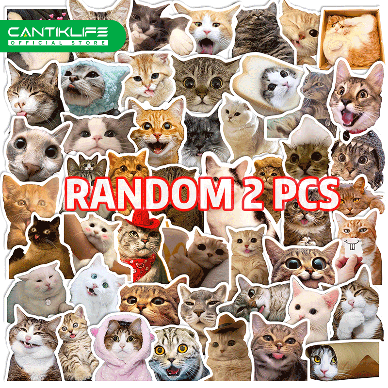 Jual Stiker Kucing Lucu Terlengkap & Harga Terbaru Juni 2026 | Shopee ...