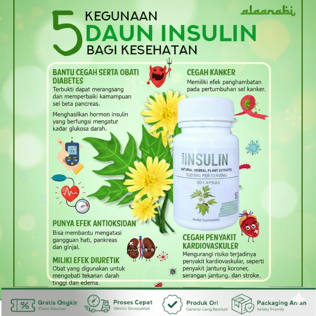 Jual obat diabetes herbal daun jamu suplemen insulin untuk kesehatan ...