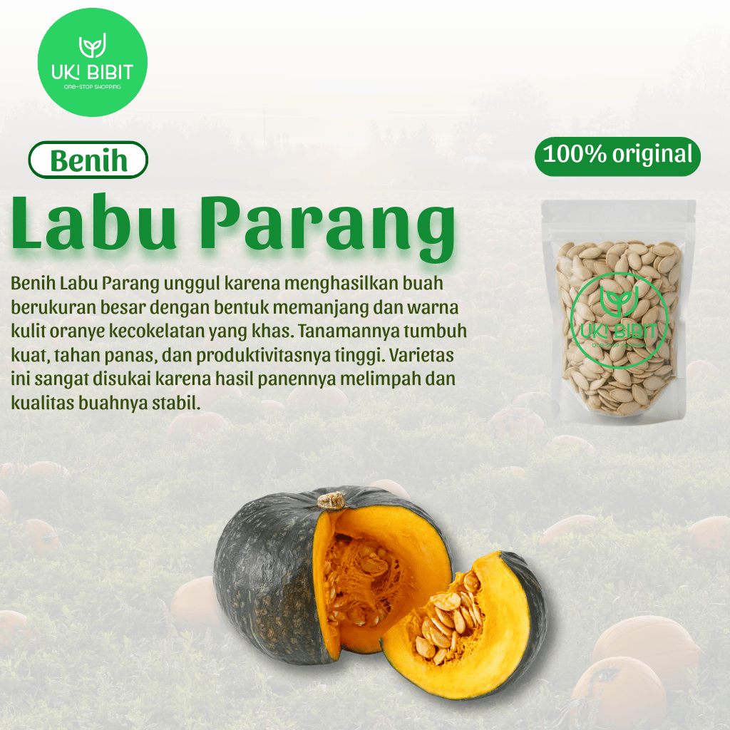 Jual ( 10 Butir ) Benih Biji Labu Parang | Labu kuning | Waluh Besar ...