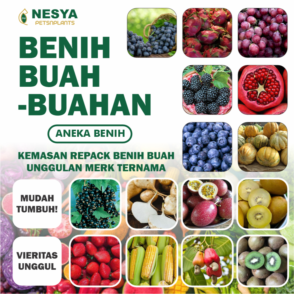 Benih Biji Buah Buahan Tanaman Buah Benih Strawberry Semangka Melon Buah Naga Anggur Merah
