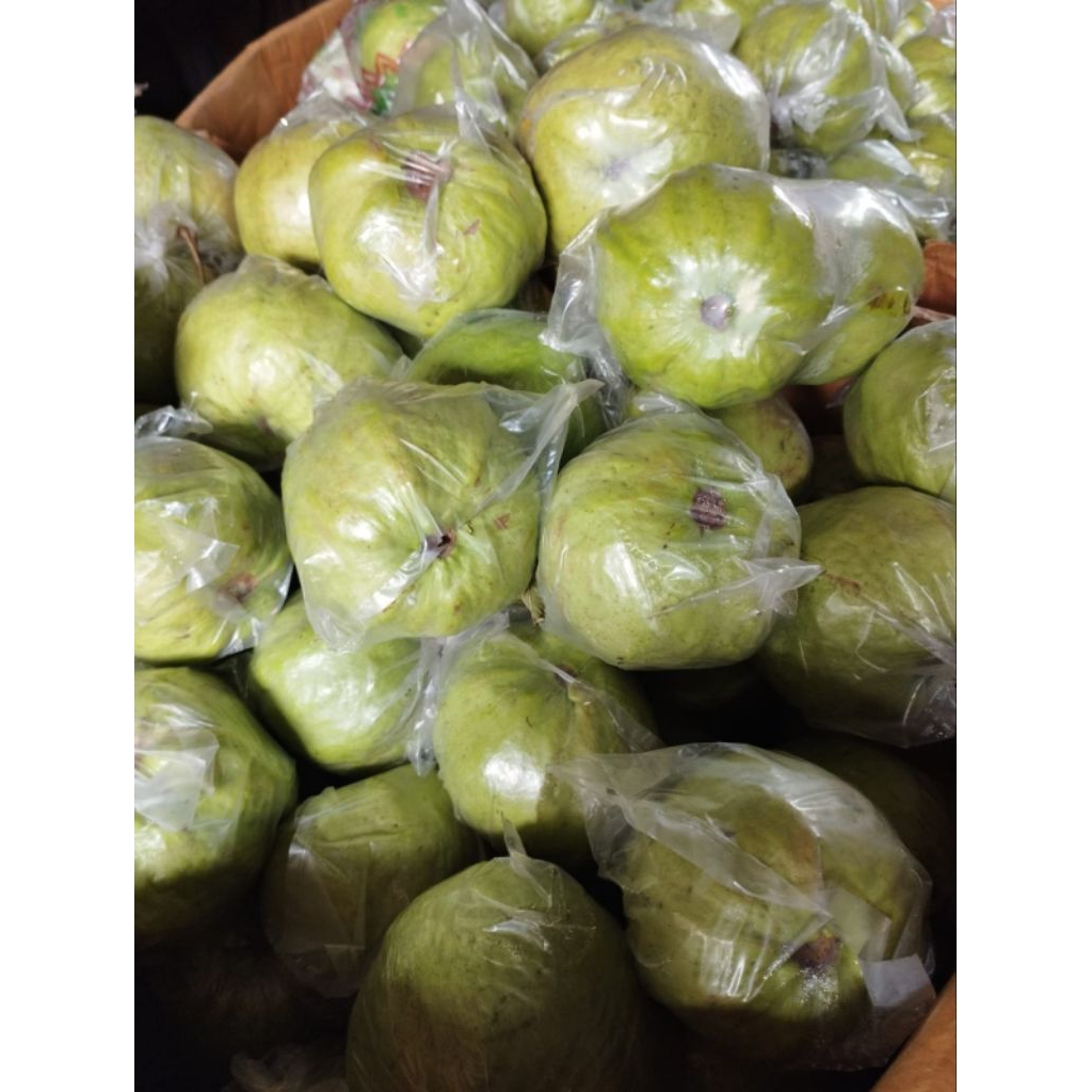 Jual JAMBU KRISTAL 1KG BESAR | Shopee Indonesia