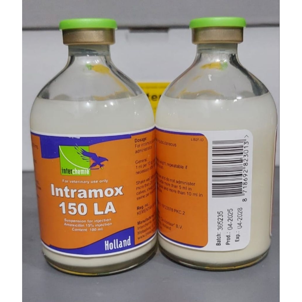 Jual INTRAMOX-150 LA (antibiotik Amoxycillin untuk ternak) | Shopee ...