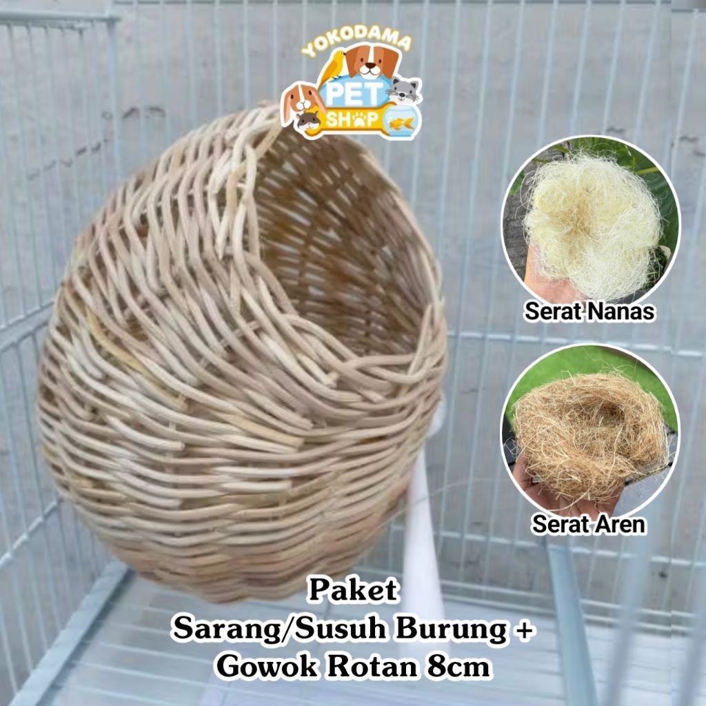 Jual Paket Sarang/Susuh Burung + Gowok Rotan 8cm | Shopee Indonesia