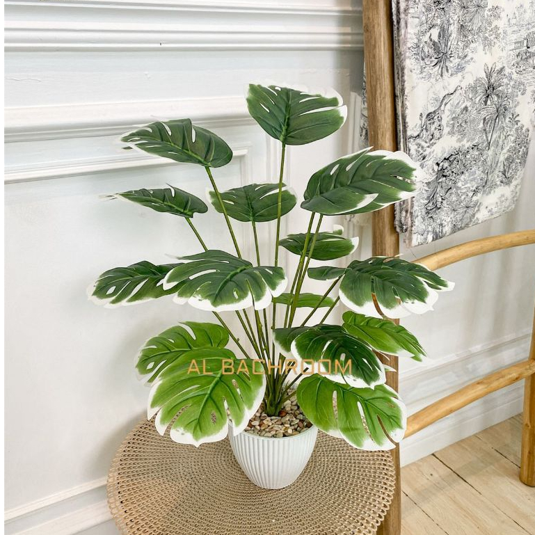 Jual B8156 TANAMAN HIAS PLASTIK MONSTERA D18T48 TANAMAN ARTIFICIAL PLASTIK  HIASAN RUANGAN DEKORASI RUMAH | Shopee Indonesia