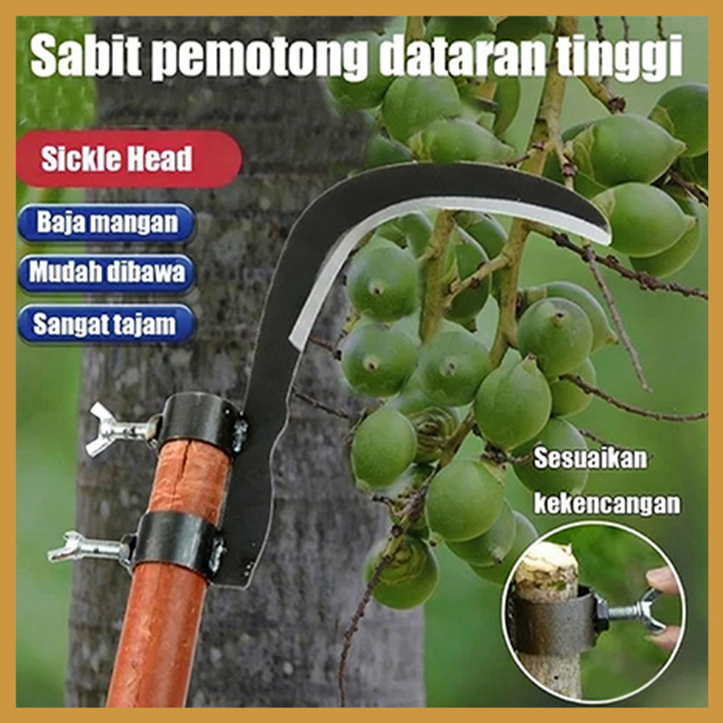 Adjustable Sabit Pisau Pinang Untuk Memotong Rumput Air, Memetik Buah Di Dataran Tinggi, Memangkas Dan Memetik Alat Pertanian