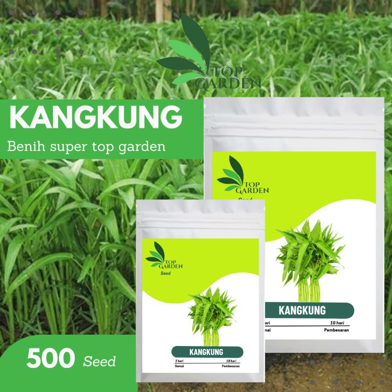 TOP GARDEN BENIH SUPER SAYURAN KANGKUNG KUALITAS F1