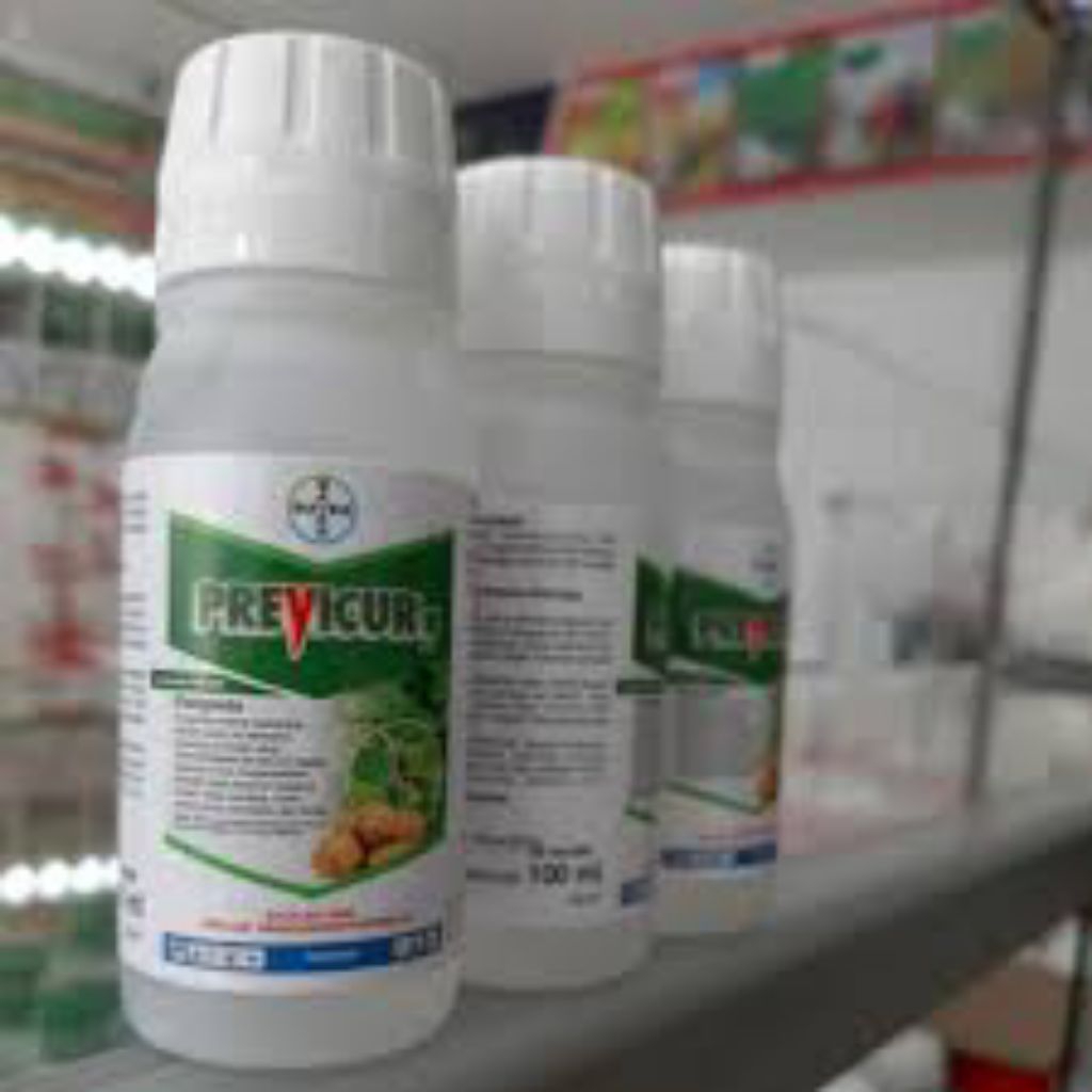 Jual Previcur N 100 ml fungisida | Shopee Indonesia