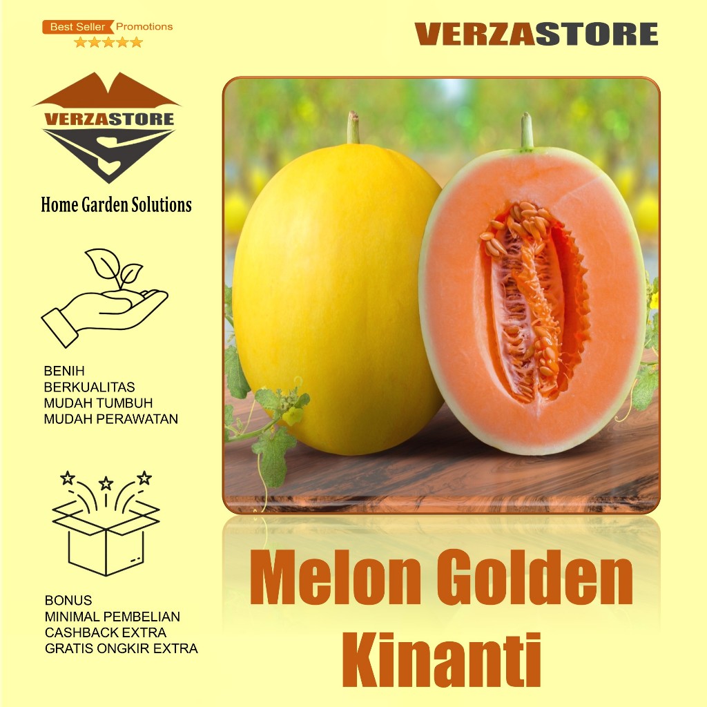 5 Biji - Benih Bibit Buah Melon Orange Kinanti